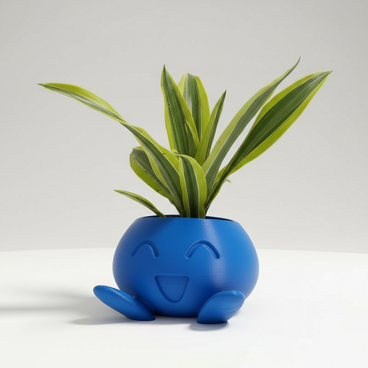 Happy Ceramic Plant Pot with Drainage Hole | Glazed Finish | Small & Medium Sizes