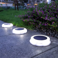 White Light (6500K)
